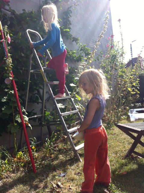 Vi plukker blommer, samarbejder og nyder solen