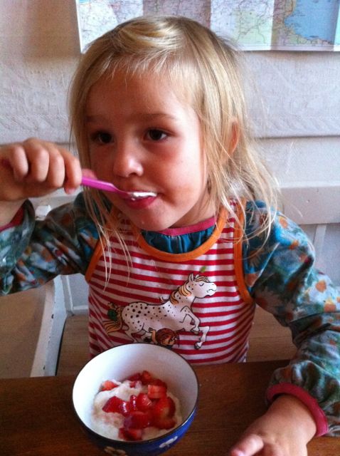 kokoscremedessert med jordbær og honning